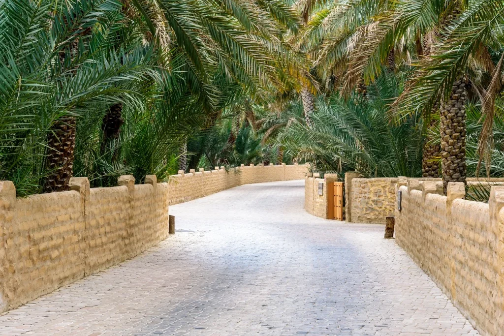 15 Amazing Free Things to Do in Abu Dhabi Without Spending a Dirham! 6 Al Ain Oasis