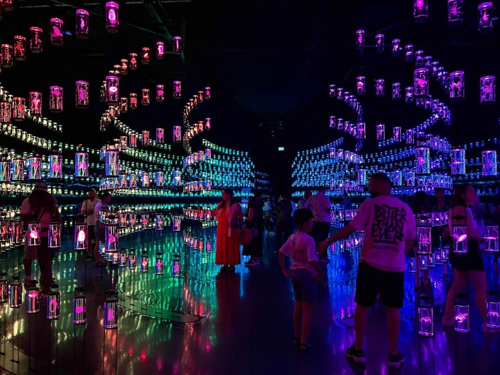 Museum of the Future Summer Pass 2025: Unlimited entry, retail credit, priority access and more 4 Museum of the Future