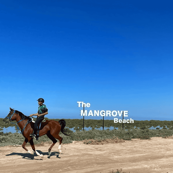 Horseback Riding