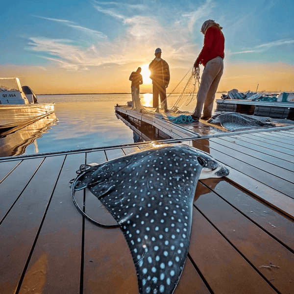 Fish Market