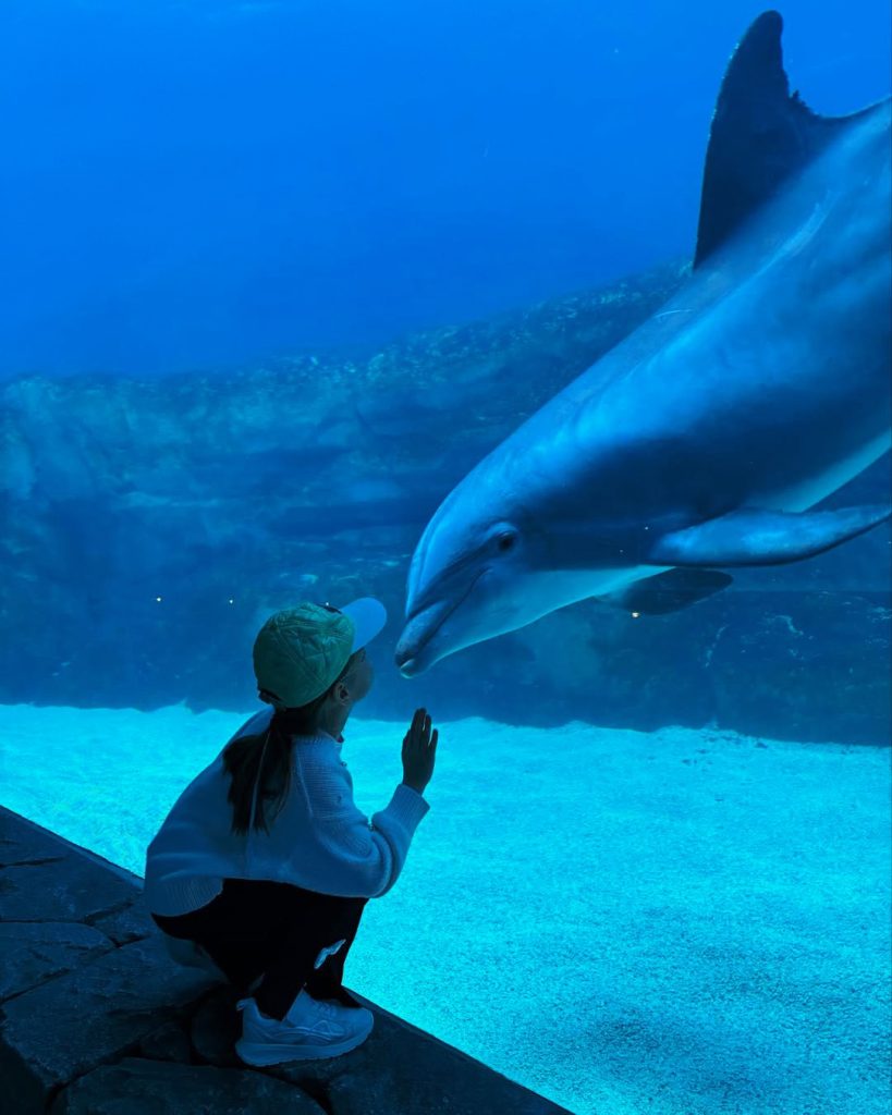 SeaWorld Abu Dhabi