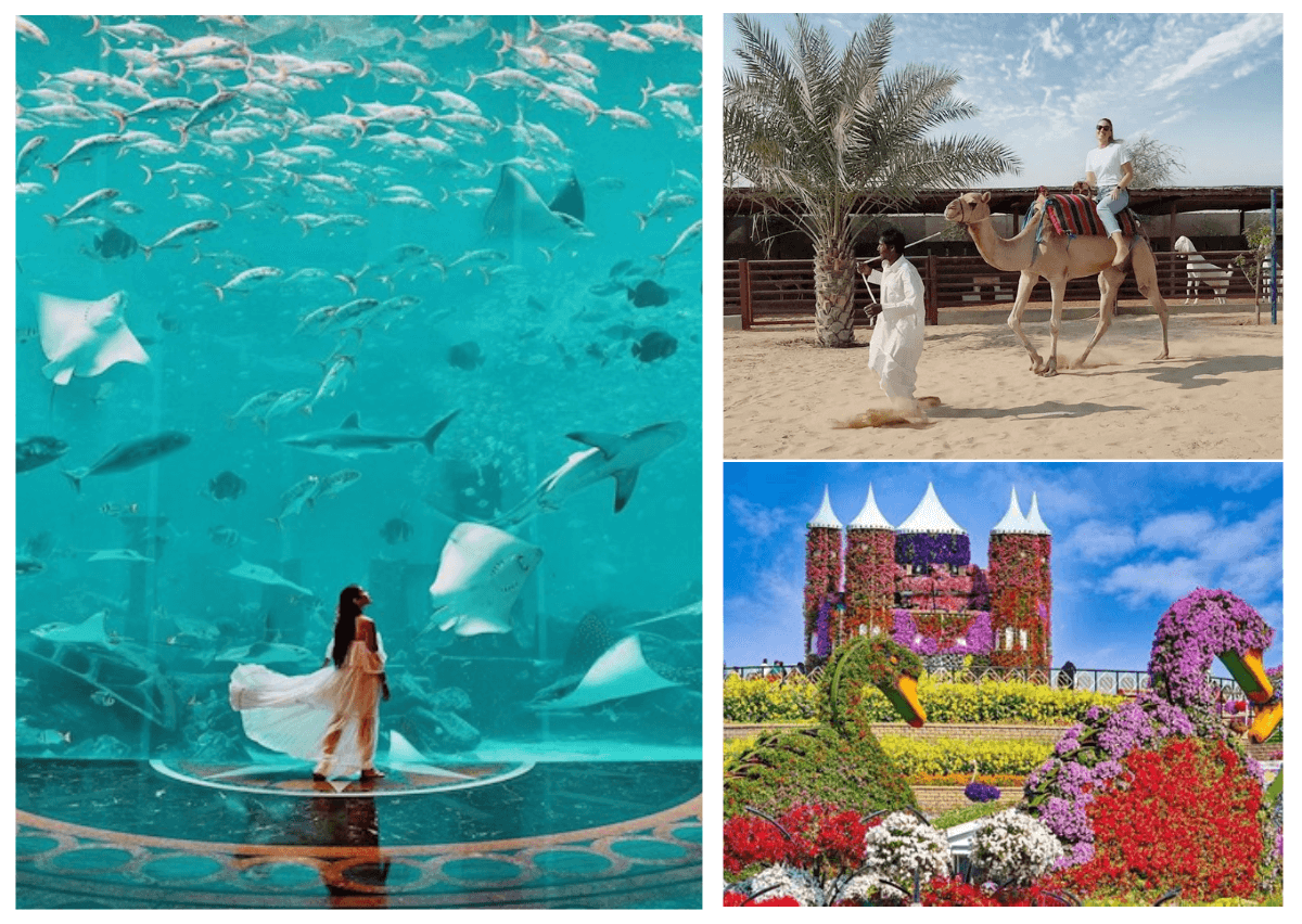 Attractions in dubai Places to Visit in Dubai