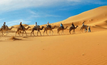 Dubai Desert Safari Tours – Best Operators & Packages 15 Forever Tourism