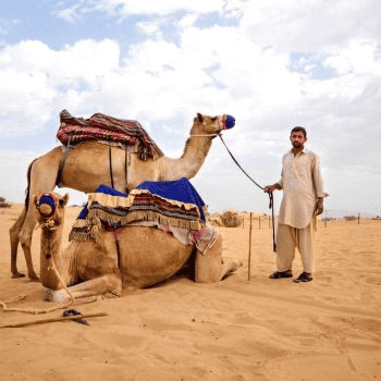 Dubai Desert Safari Tours – Best Operators & Packages 5 Desert Safari Dubai