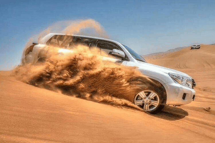 Dubai Desert Safari Tours – Best Operators & Packages 10 Viator