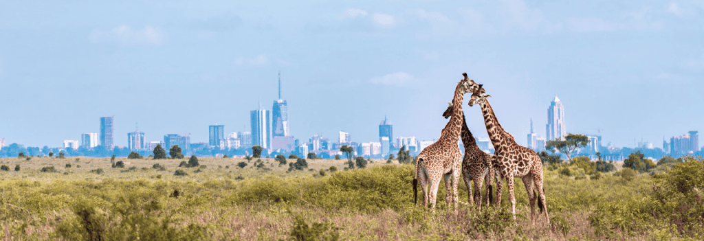flydubai expands flights from Dubai to Nairobi and Mombasa 1 flydubai