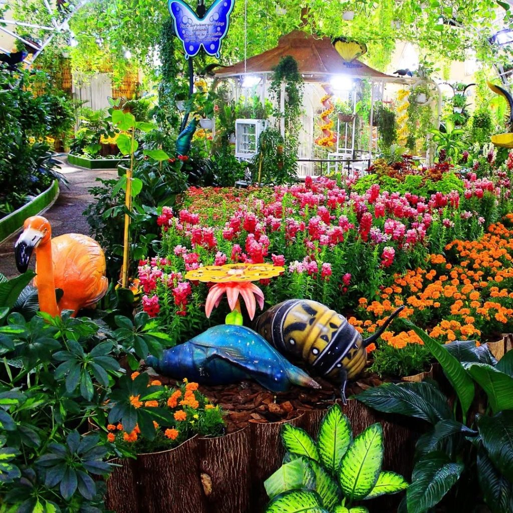 Dubai Butterfly Garden