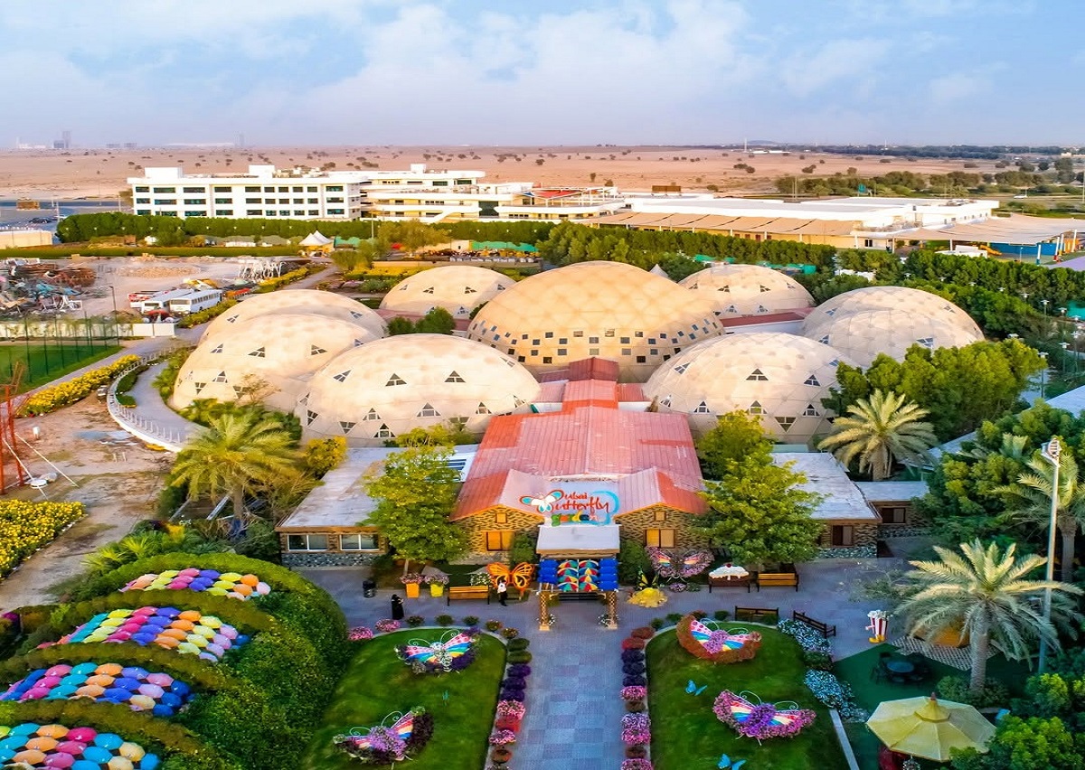Dubai Butterfly Garden