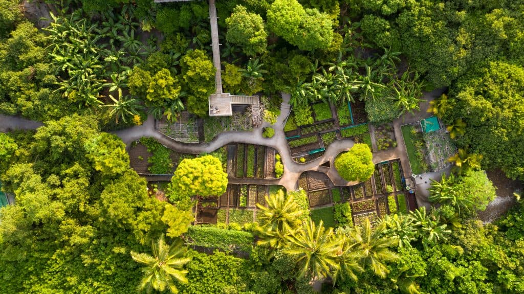 Travel to Dubai - Unforgettable Culinary Experience at Maldives' Soneva Fushi this UAE National Day 2025 Holidays - Photo: 13856 Soneva Fushi Organic Gardens