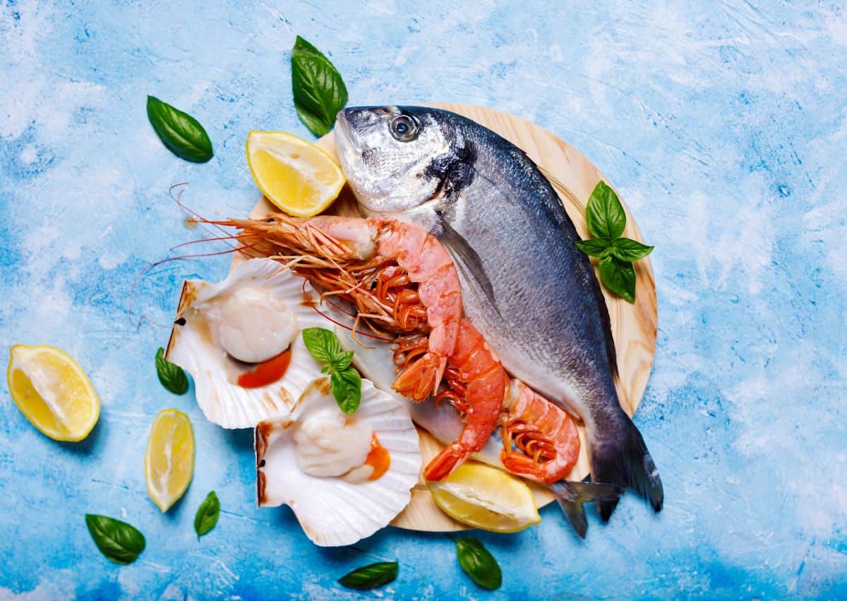 Seafood Restaurants in Abu Dhabi