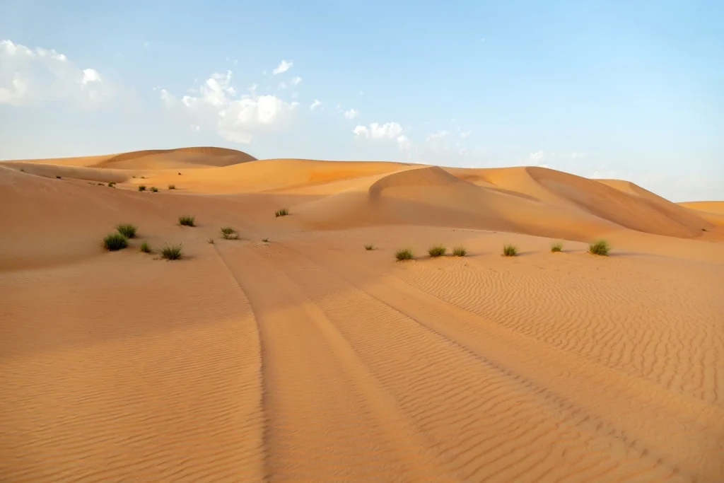 Into the ‘Red Dunes’: Experience Al Badayer Desert Dubai Like Never Before 1 Al Badayer Desert Dubai