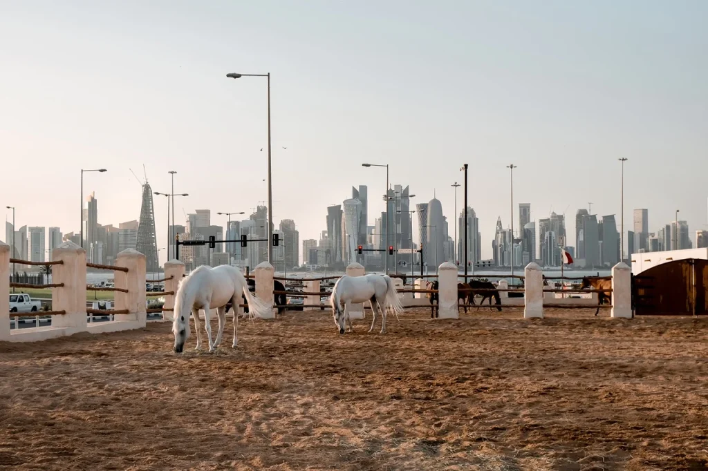 Horses grazing with city skyline backdrop
