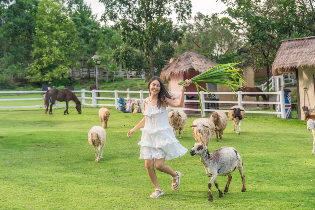 Best farmhouse stays in Dubai for families