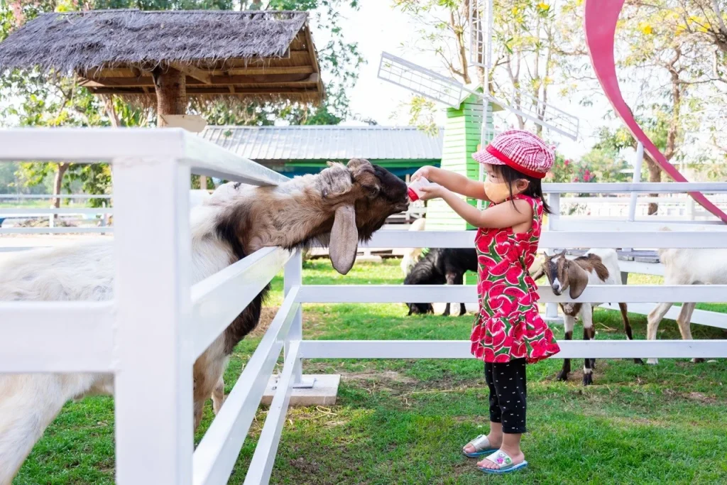 Best farmhouse stays in Dubai for families