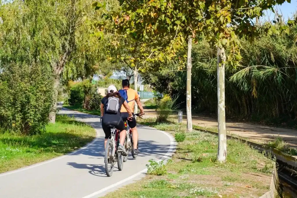 20+ Best Cycling Paths in Dubai for Scenic Rides 1 Cycling Paths in Dubai