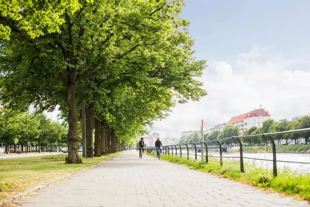 20+ Best Cycling Paths in Dubai for Scenic Rides 3 Cycling Paths in Dubai