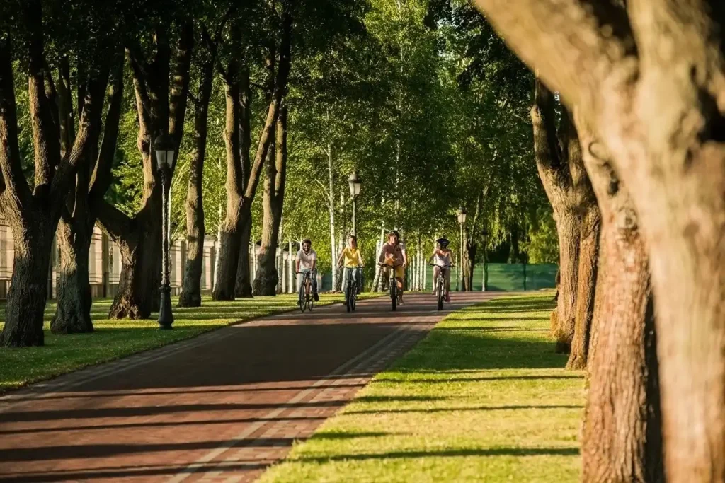 20+ Best Cycling Paths in Dubai for Scenic Rides 4 Cycling Paths in Dubai