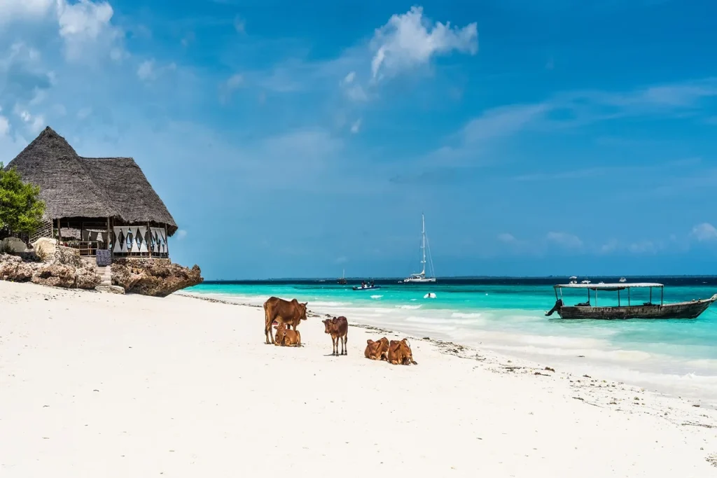 Zanzibar Visa from Dubai Residents: Complete Guide (2026) 4 Zanzibar Visa from Dubai Residents