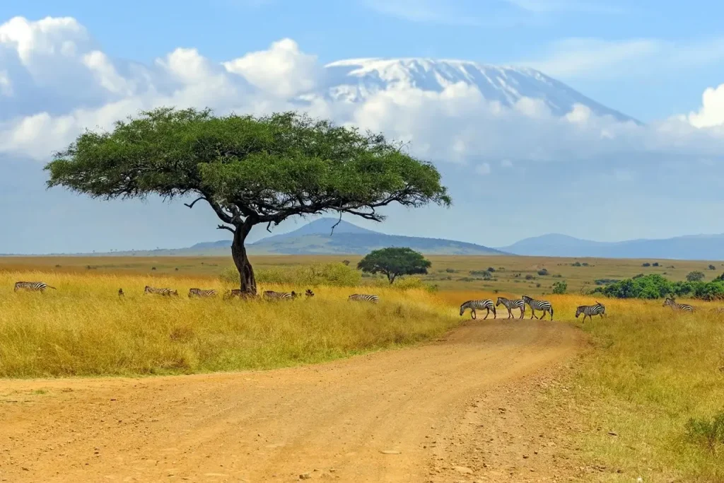 Tanzania Tourist Visa for UAE Residents: Complete 2026 Travel Guide 2 Tanzania Tourist Visa for UAE Residents
