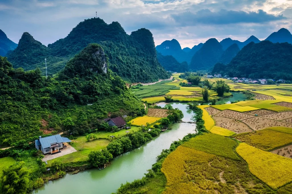 Vietnam Tourist Visa for UAE Residents: Complete Guide, 2026 4 Vietnam Tourist Visa for UAE Residents