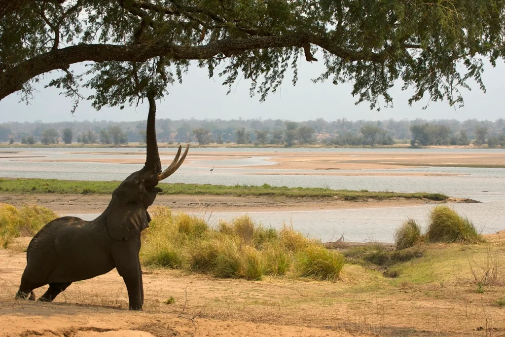 Zimbabwe Tourist Visa for UAE Residents: Complete 2026 Travel Guide 1 Zimbabwe Tourist Visa for UAE Residents