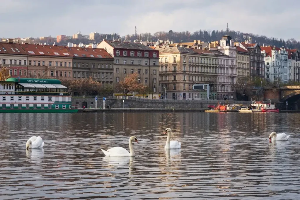 Travel to Dubai - Etihad Airways Summer Sale 2026 is LIVE: 50+ Destinations featuring upto 30% sale - How to book - Photo: prague 1