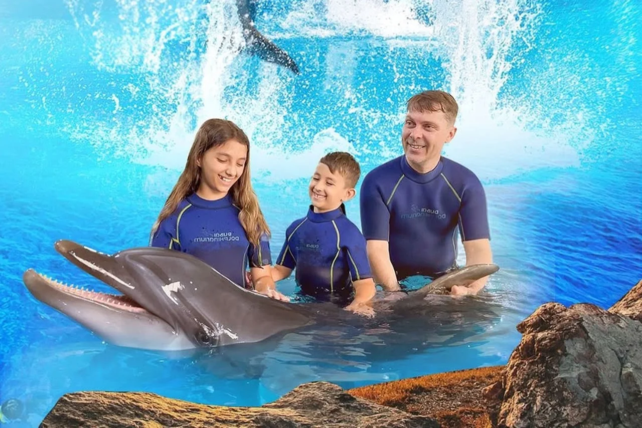 A family wearing blue wetsuits interacts joyfully with a dolphin in bright blue water. The scene is cheerful, with splashing water in the background.