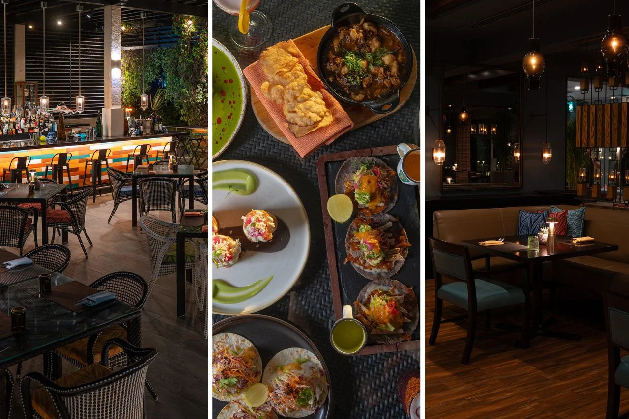 Stylish restaurant scene: a vibrant bar with rattan chairs, a table with tacos and snacks, and a cozy dining area with warm ambient lighting.