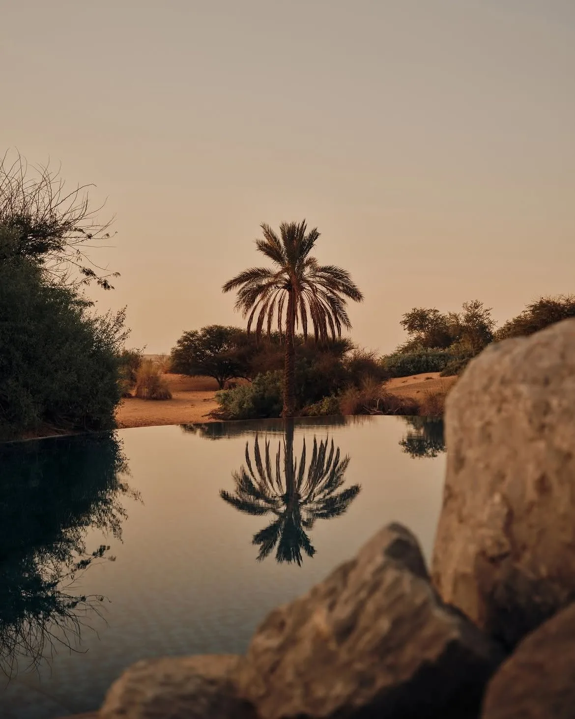 Al Maha