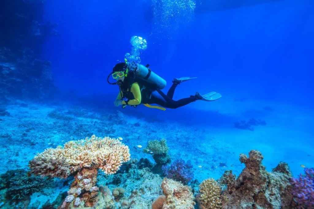 Best Summer Activities in Dubai: Jet Skiing, Kayaking, Paddleboarding and more 8 Scuba Diving - Summer Activities in Dubai